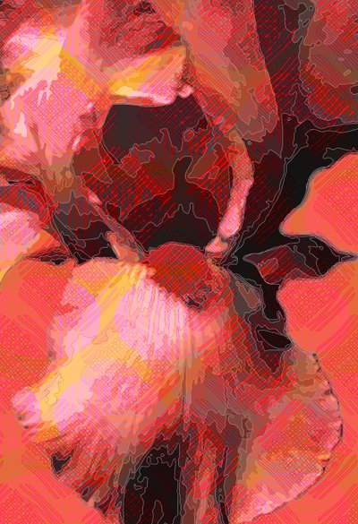 Orange Iris von Scott J. Davis